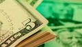 Almanya'nın en büyük bankasından Dolar/TL ve faiz tahmini