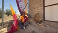 Galatasaraylı taraftar, şampiyonluğu gerçek aslanlarıyla kutladı