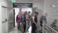 52 ilde 5 milyar TL'lik dev operasyon; 423 gözaltı var