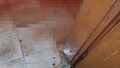 Evleri kurban kanı bastı: Görüntülere akıl sır ermedi!
