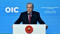 Erdoğan: ''Sykes-Picot düzeninin kurulmasına izin vermeyeceğiz''