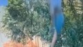 Hamile genç kadın 3. kattan düşerek hayatını kaybetti!