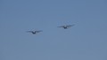 Türk hava kuvvetleri şov yaptı; yeri İHA'lar ilk kez bombardıman görevinde kullanıldı