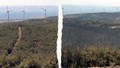 Marmara Bölgesi'nin cenneti cehenneme döndü: Yemyeşil Şarköy artık kömür köy....