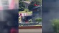 Sarıyer Uskumruköy'de villa yangını