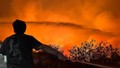 Bursa'daki orman yangınından acı haber geldi!