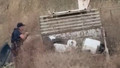 Eski iş yerine gidip öldürdü; saklandığı kümeste yakalandı!
