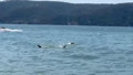 İstanbul Beykoz'da tekne alabora oldu: 1 ölü