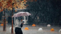 Meteoroloji'den çok sayıda kent için sağanak yağış uyarısı