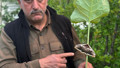 Bahçesini temizlerken hayatının sürprizini yaşadı!