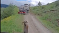 Bayram trafiğinden kaçmak isteyen sürücülere kötü sürpriz