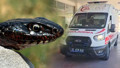 Bahçesinde gördüğü yılanı vurmak isterken dehşet saçtı: Yaralılar var!