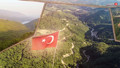 İşte doğanın gücü! Yangınlarda kül olan ormanlık arazi küllerinden yeniden doğdu!