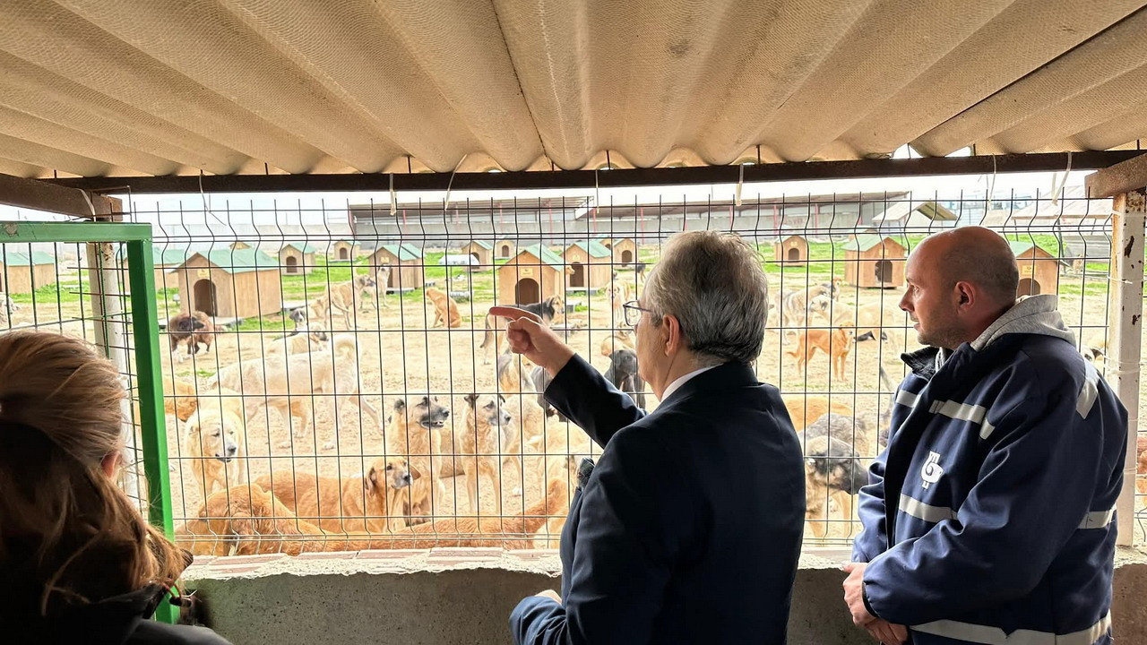 Bandırma Belediyesi'nden örnek proje: Başkan Mirza çalışmaları inceledi