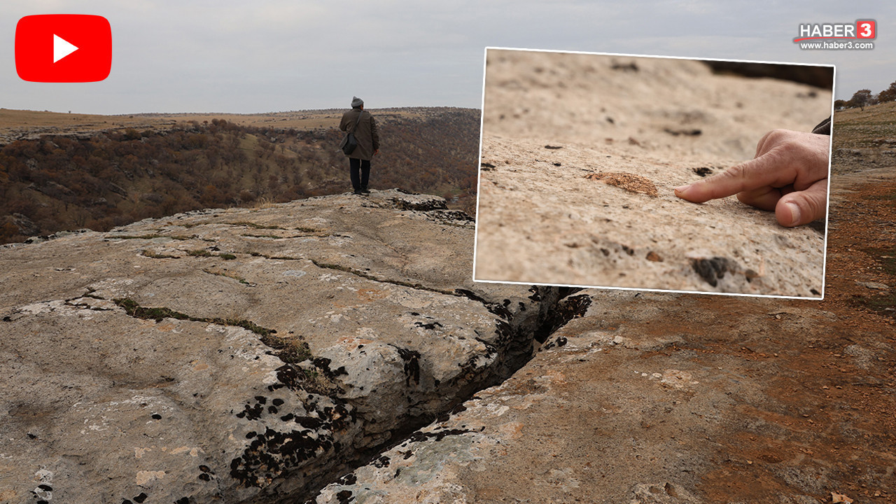 Diyarbakır'da yüz milyonlarca yıllık keşif