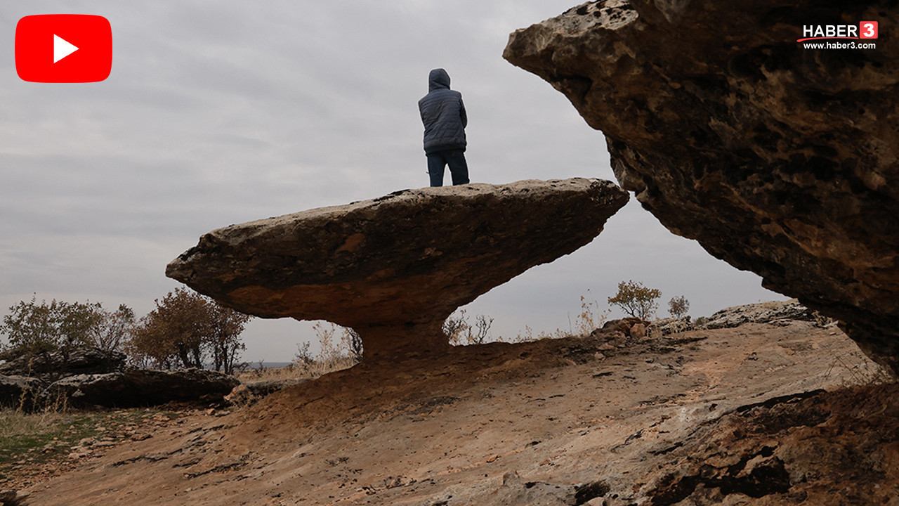 Türkiye'de buzul çağından kalma 6 milyon yıllık sır...