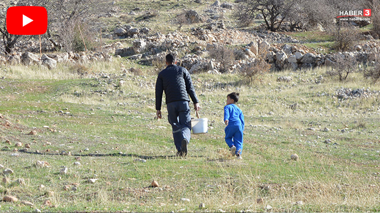 29 yaşında sadece 2 yılda binlerce tohum ve fidanı toprakla buluşturdu