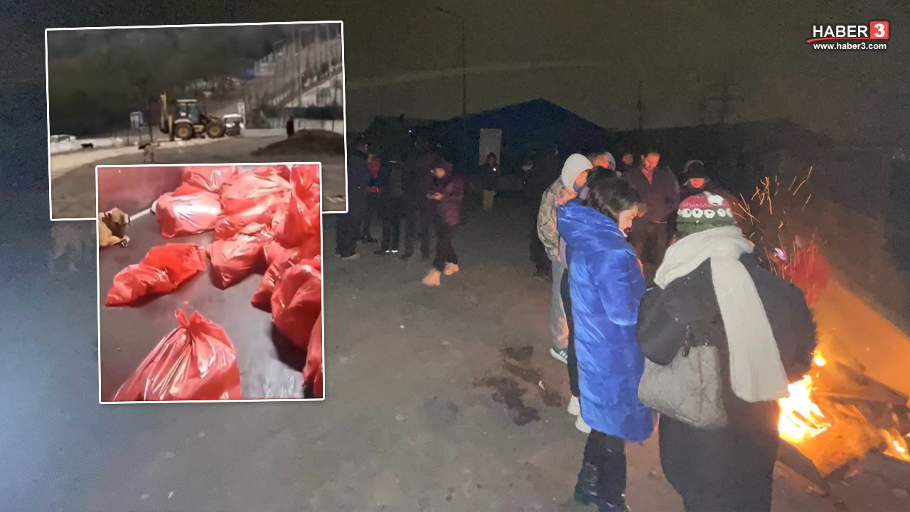 Ankara'da belediyeye bağlı hayvan barınağında ötanazi iddiası