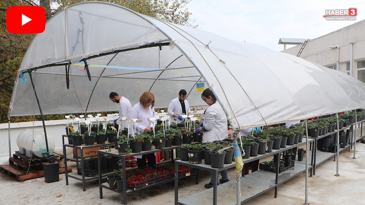 Üniversitede profesörden örnek proje: Öğrencileri soğuktan ve yağıştan böyle koruyor