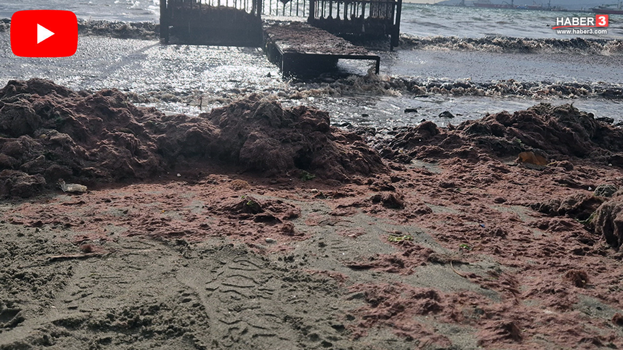 Fırtınayla birlikte Marmara kıyılarında sahilin rengi kızıla boyandı