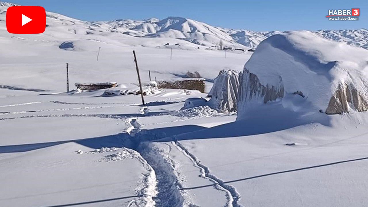 Bir aile -15 derece soğuğa rağmen kışı koyunları için karlar altındaki bu yaylada geçirecek