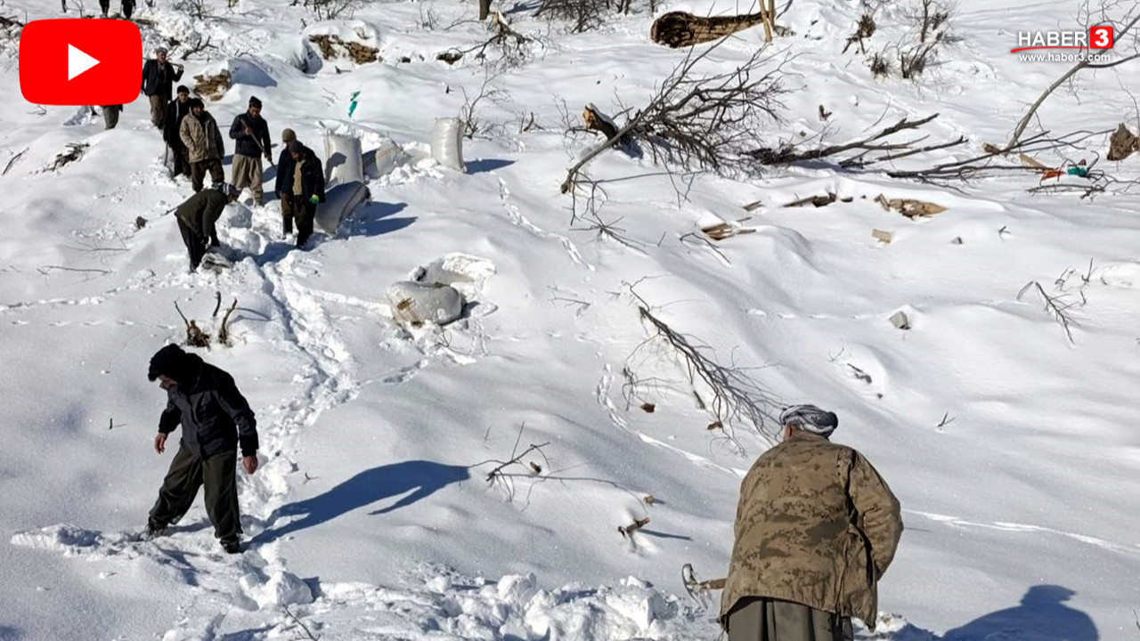 Bir çığ kabusu daha... Evler ve ahırlar tonlarca karın altında kaldı