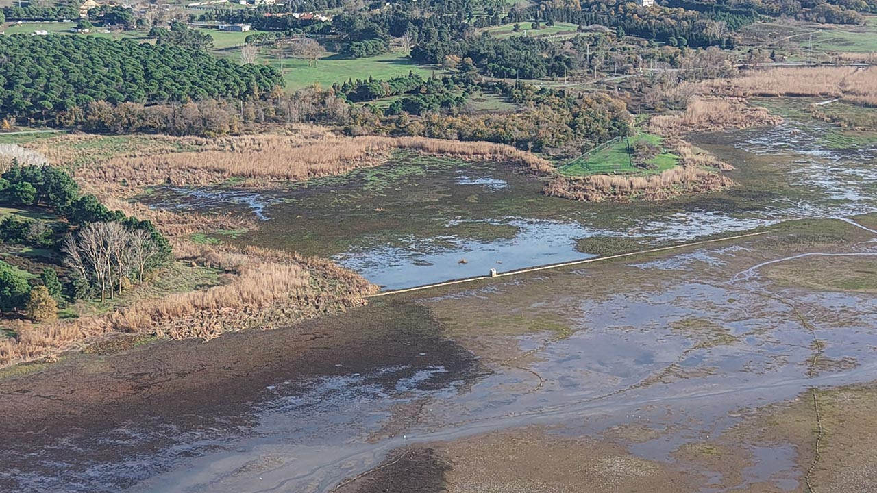 İstanbul'un barajlarından kötü haber! Yeniden düşüşe geçti