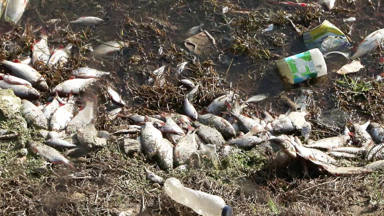 İstanbul'da çevre katliamı: 1.3 milyon TL ceza kesildi