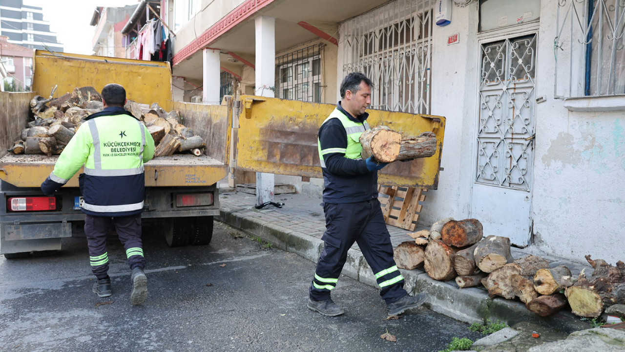 Küçükçekmece'de budanan ağaçlar, ihtiyaç sahiplerine yakacak oluyor