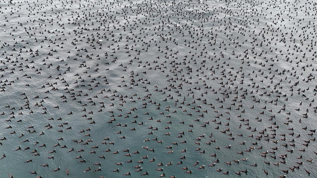 İstanbul Boğazı'ndan belgeselleri aratmayan görünt…