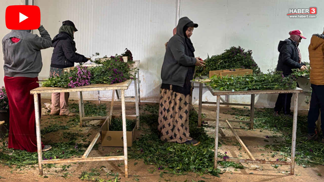 Turizm başkentimizden bir rekor daha... Bu sefer gelenler değil, gidenler rekor kırdı