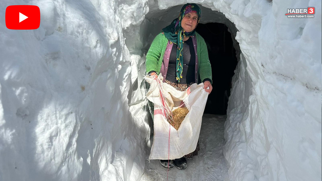 Karlar altında kalan ilimizde vatandaşların kar tünelleri içindeki yaşam savaşı kamerada