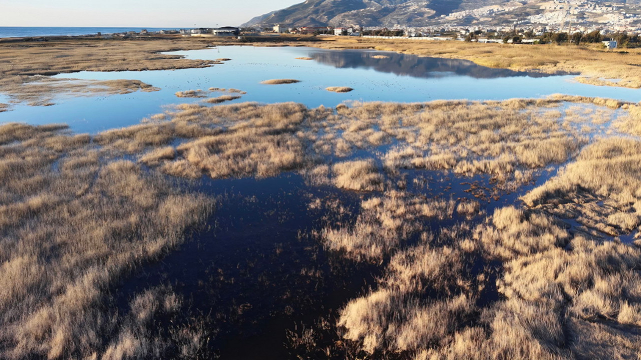 Milleyha Kuş Cenneti'ndeki eşsiz manzara dron kamerasında