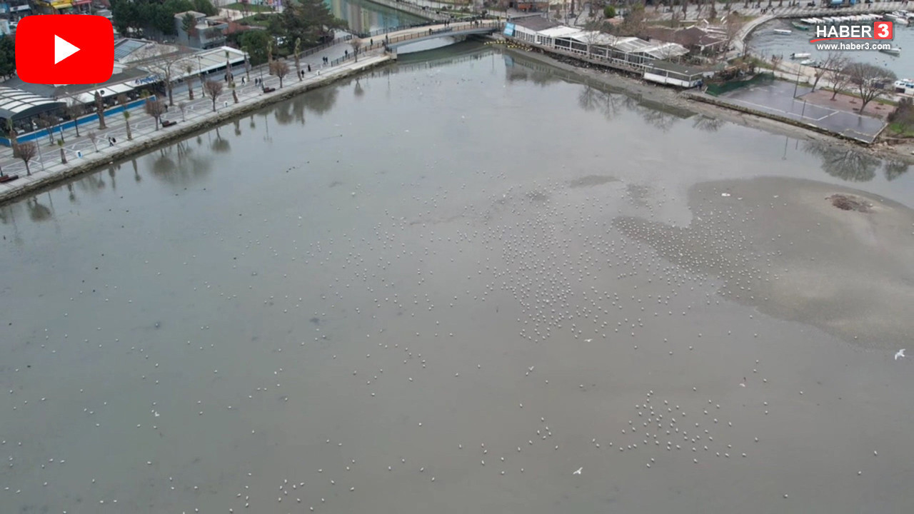 İstanbul sahilinde endişelendiren görüntü: Deniz suyu metrelerce çekildi