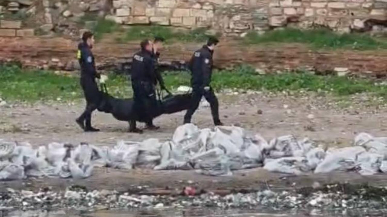 İstanbul Samatya Sahili'nde çıplak erkek cesedi bulundu