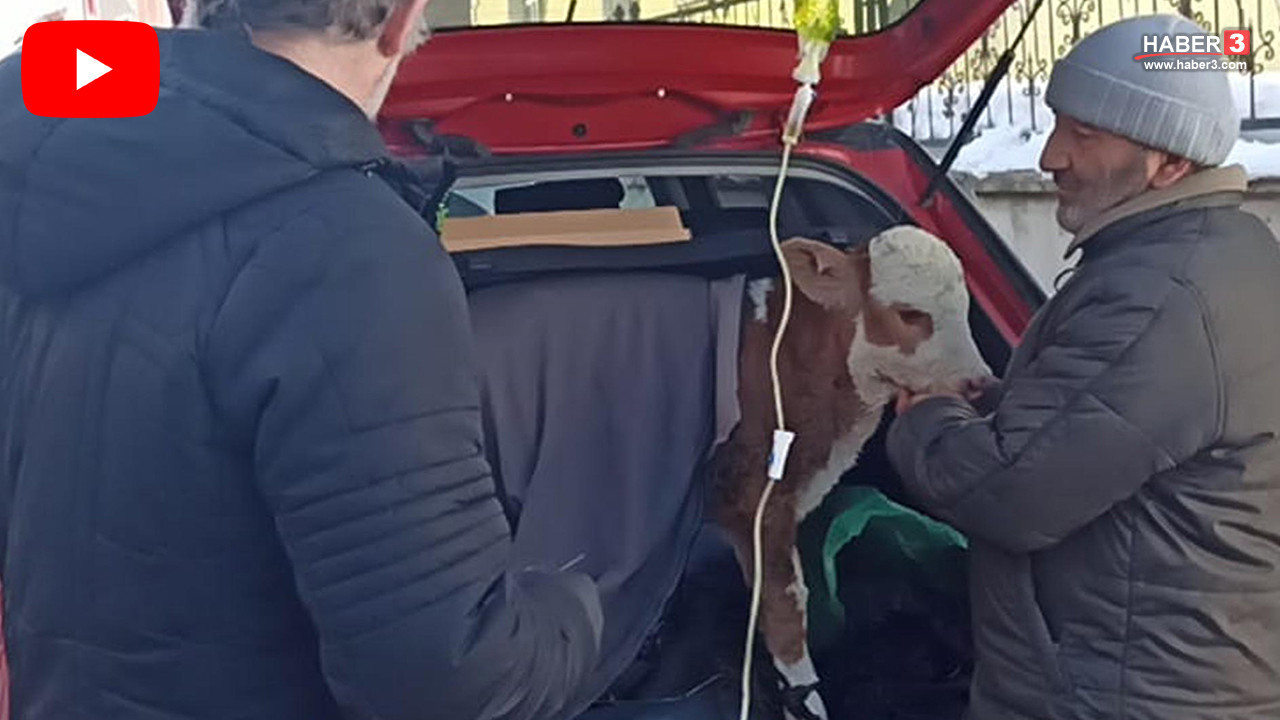 Türkiye'nin en soğuk noktasındaki yürekleri ısıtan an... Bagajda acil müdahale kamerada
