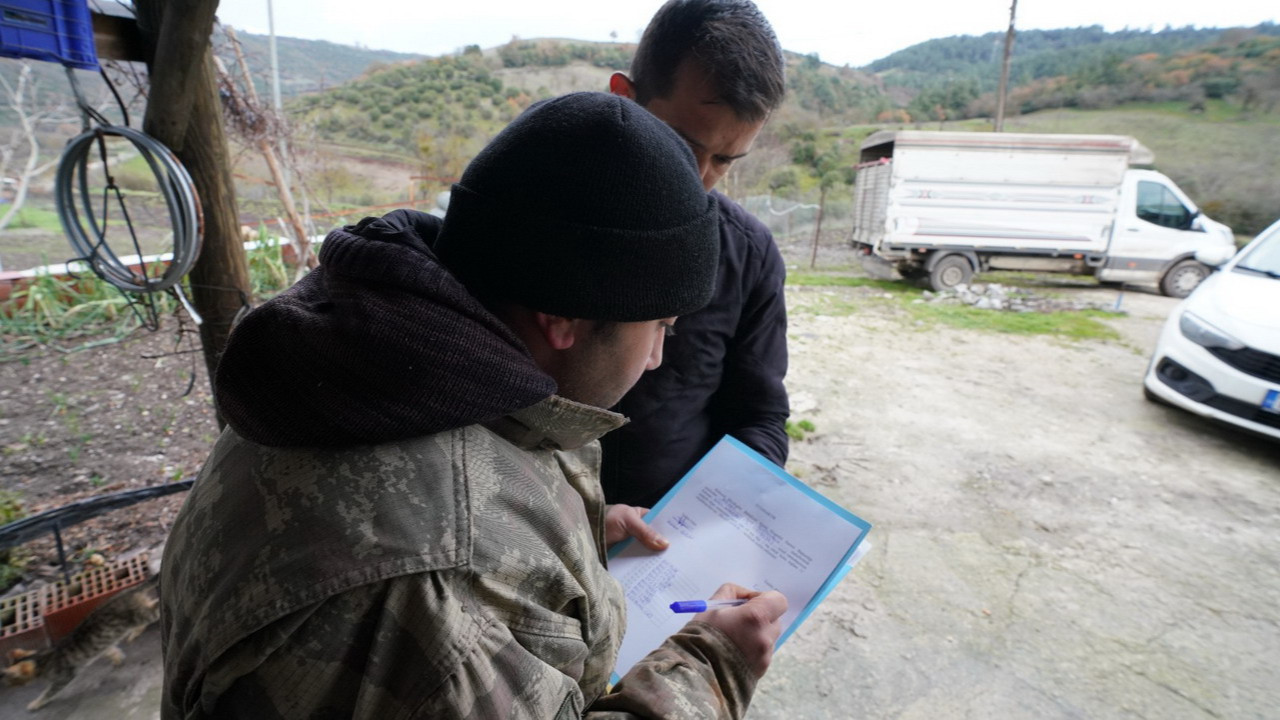 Balıkesir çiftçisine %100 hibeli damızlık desteği