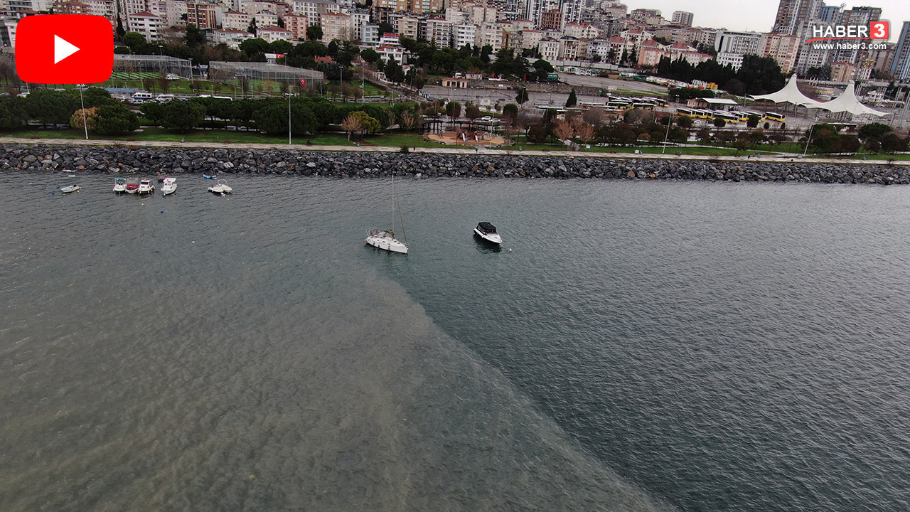 İstanbul'un sahillerinden pis kokular yükseliyor: Bu manzara mide bulandırdı