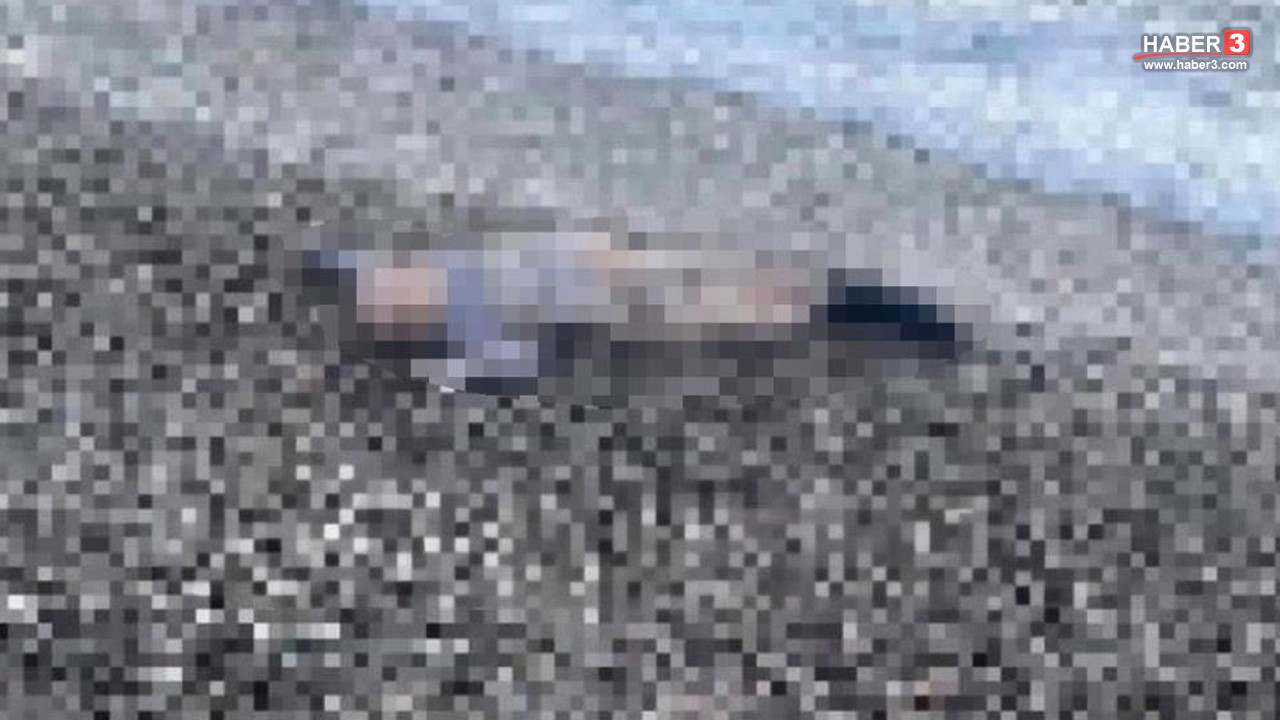 İzmir'de kahreden olay: Sahilde çocuk cesedi bulundu