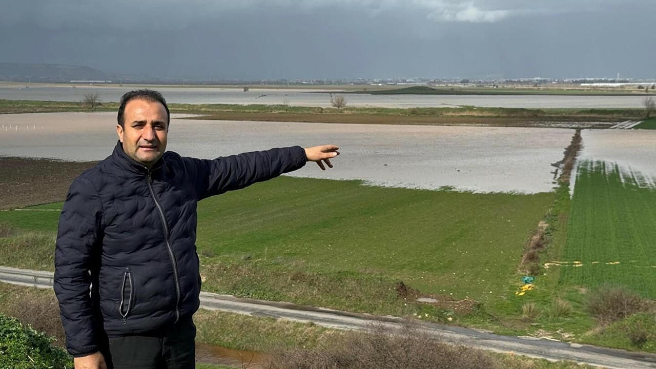 Ege Bölgesi'nin sebze deposu son yağışlarla nefes aldı