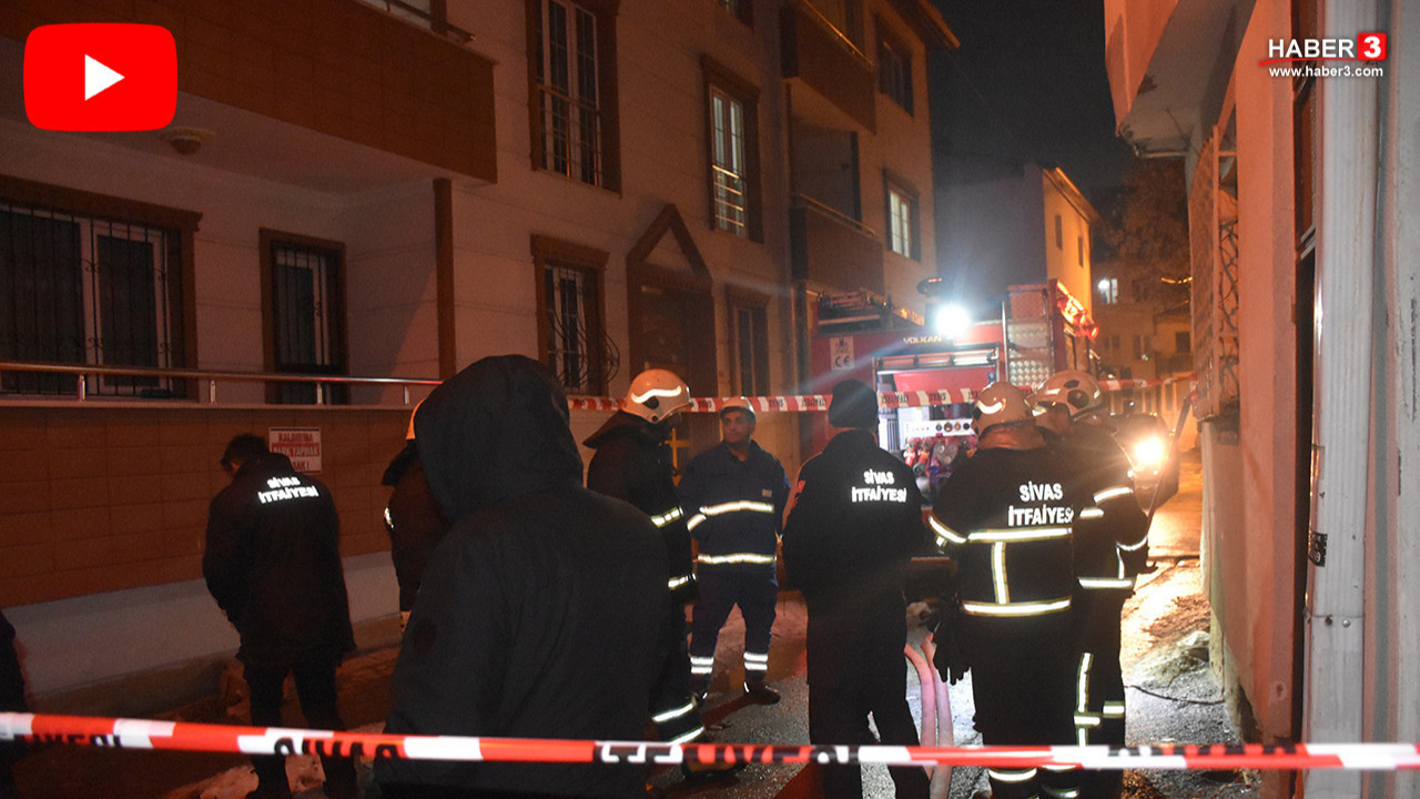 Yalnızca 36 kedinin yaşadığı dubleks ev alevlere teslim oldu; 26 kedi öldü!