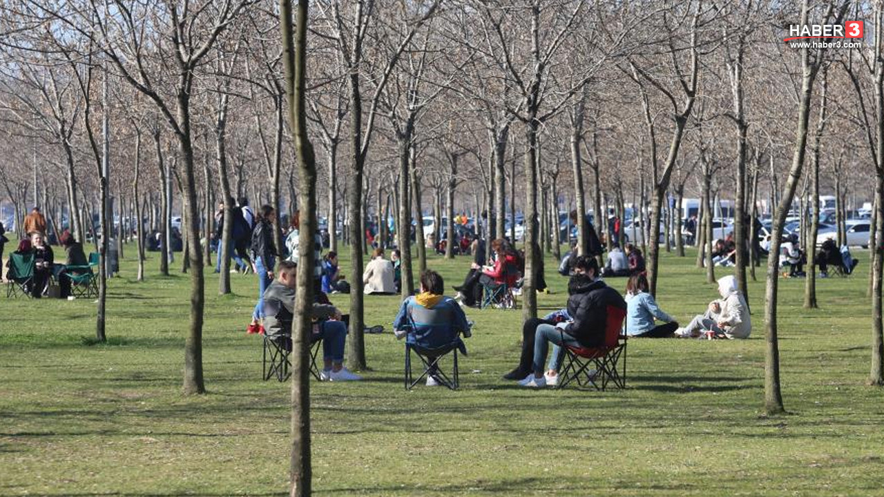 İstanbul'da kış ortasında bahar sürprizi! Günlerce sürecek