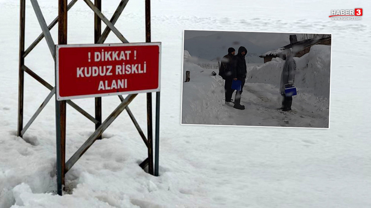 Bir ilimizde kuduz vakası tespit edildi; karantina başladı!