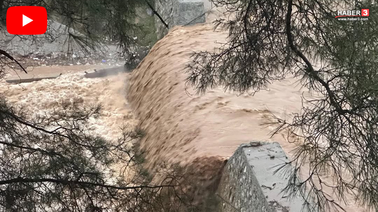 Aydın'da dere taştı; 9 ev tahliye edildi