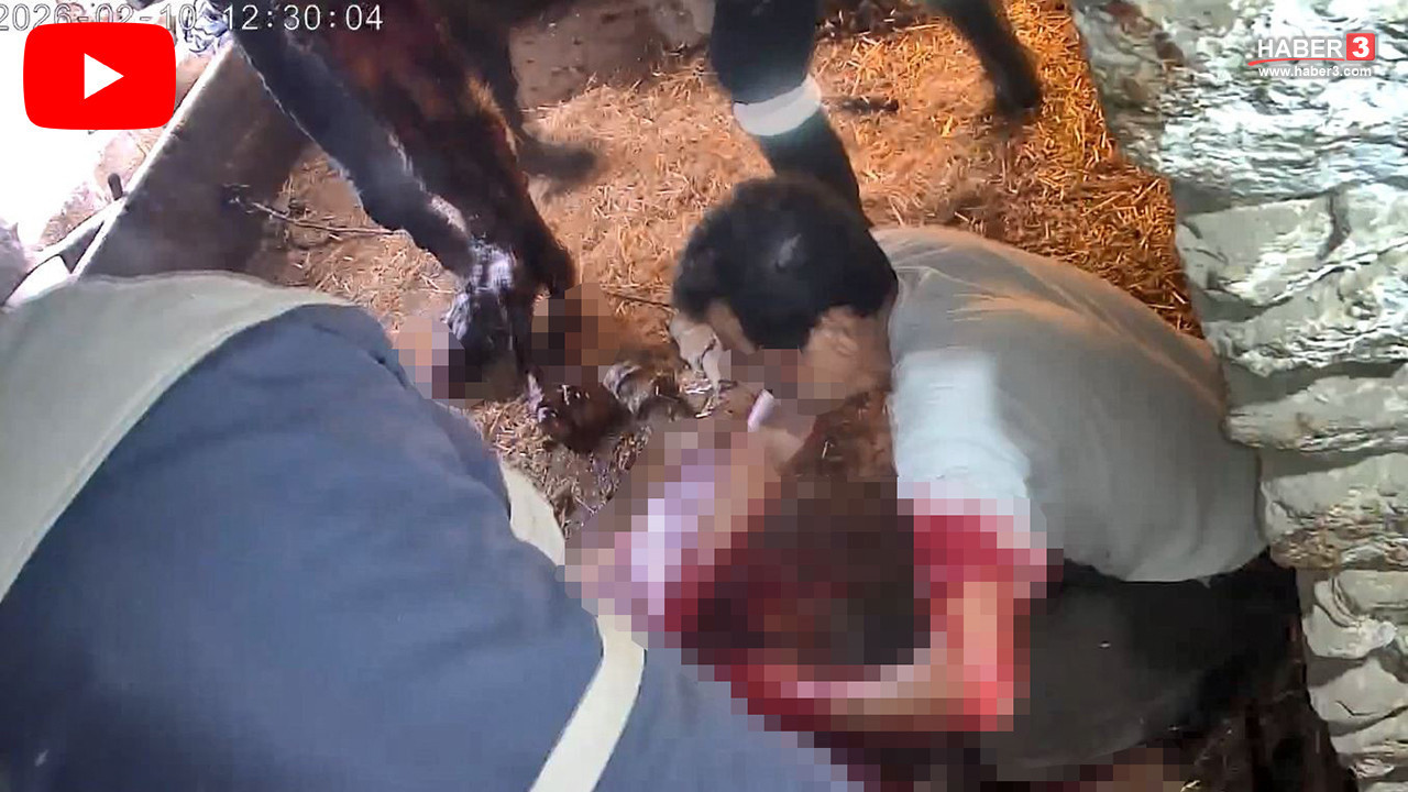 ''Doğum yapmakta zorlanıyordu'' dediler, ekmek bıçağıyla telef ettiler