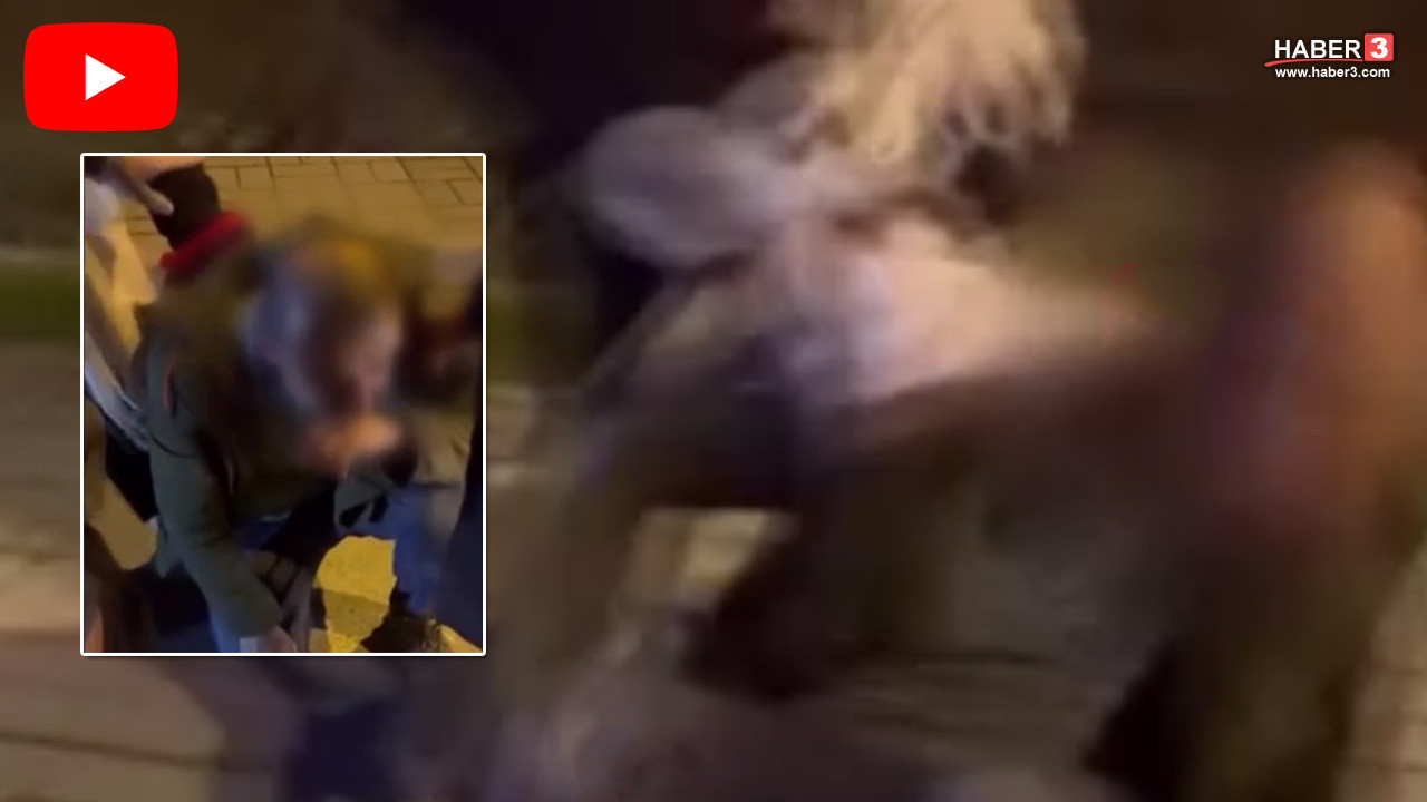 İstanbul'da taciz rezaleti: Sinir krizi geçiren genç kadın tekme tokat saldırdı