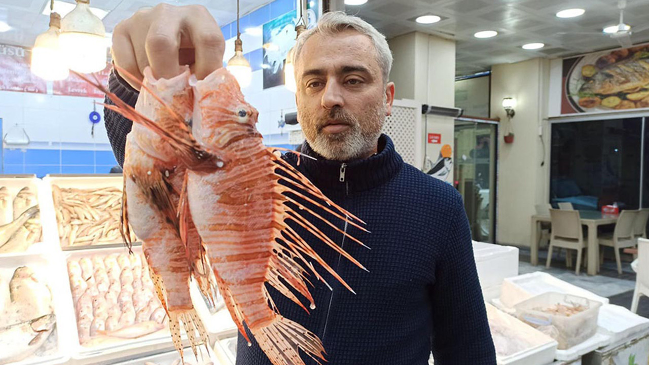 Bu balığın tezgahta satışı yasak, yemesi serbest!