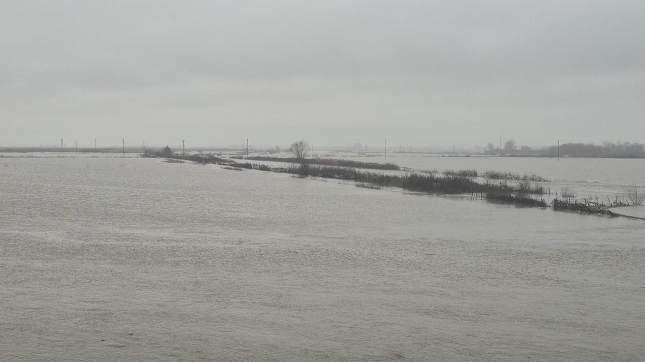 Meriç Nehri taştı; sular yerleşim yerine kadar ulaştı