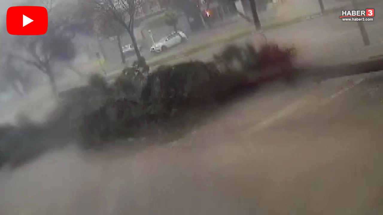 Fırtına dev ağaçları kökünden söküp fırattı; korku dolu anlar kamerada