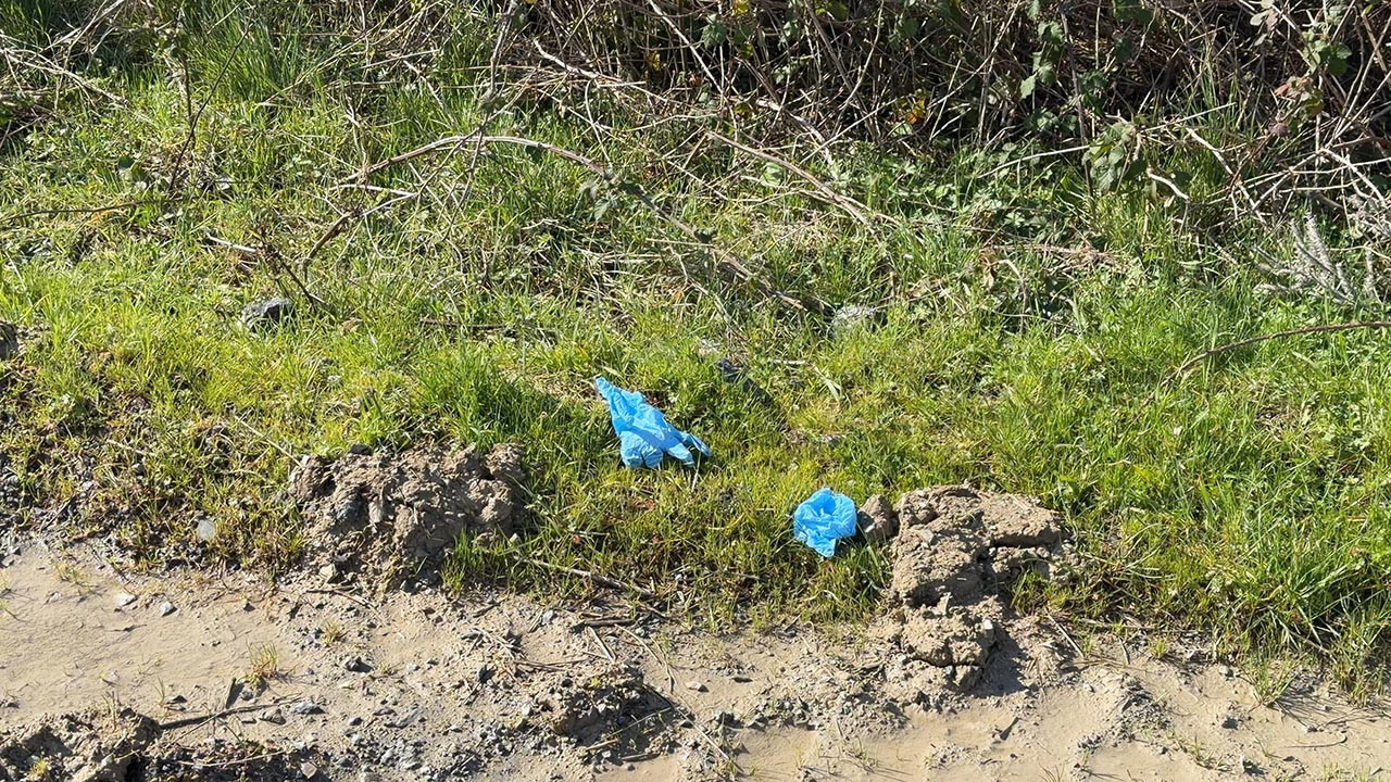 İstanbul'da vahşet: Kayıp Çinli iş insanı toprağa gömülü bulundu
